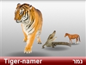 screenshot of Animals 