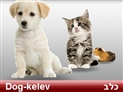 screenshot of Pets