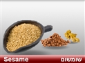 screenshot of Spices