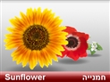 screenshot of Flowers