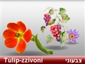 screenshot of Flowers 2